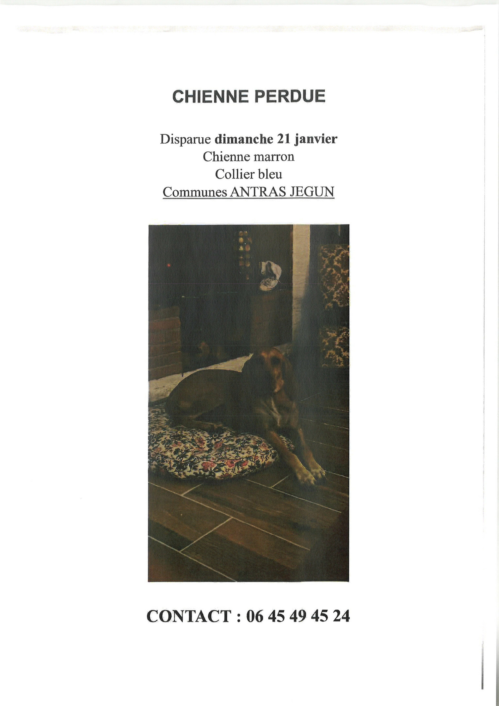 Description de l'image