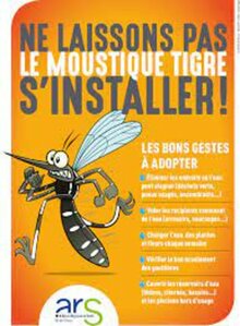 Eviter la prolifération des moustiques tigre
